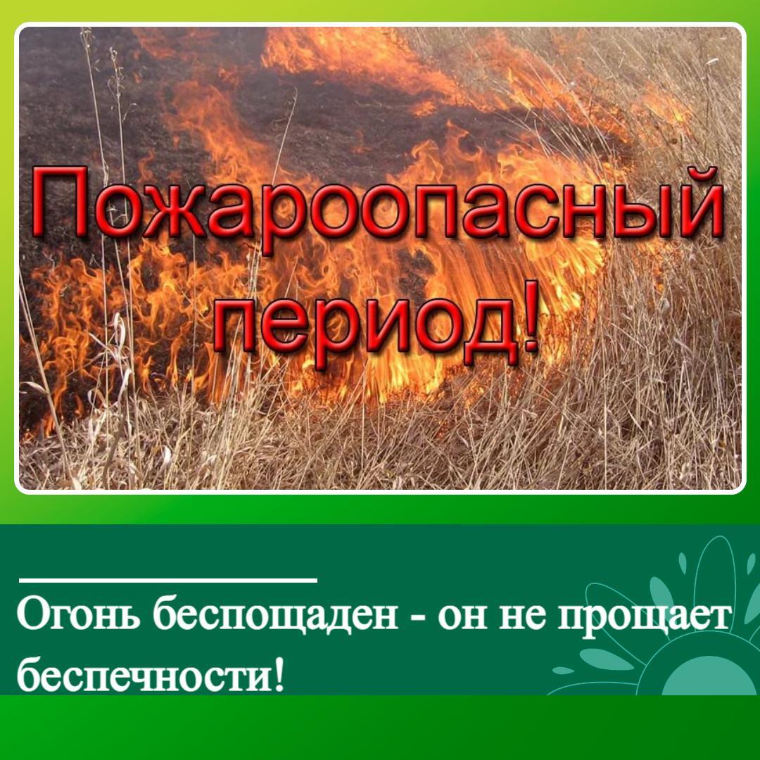 В ключевском районе сохранится пожароопасный период.