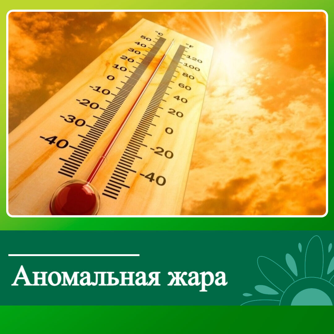 Аномальная жара в Ключевском районе.