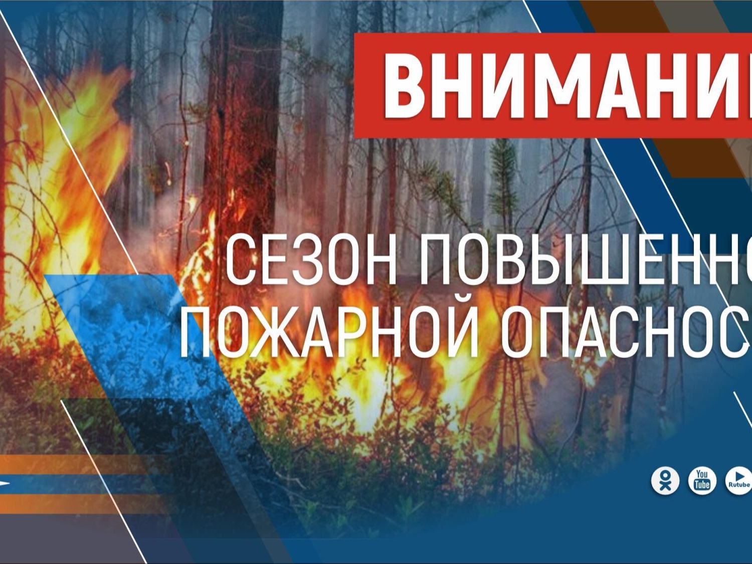 Постановлением Правительства Алтайского края № 115 от 24.04.2026 на территории Алтайского края с сегодняшнего дня, 25 апреля, введен особый противопожарный режим.