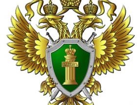 «В Алтайском крае местный житель осужден за совершение кражи»..