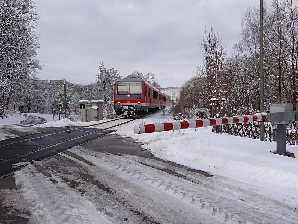 Осторожно: скот на железной дороге — угроза безопасности!.